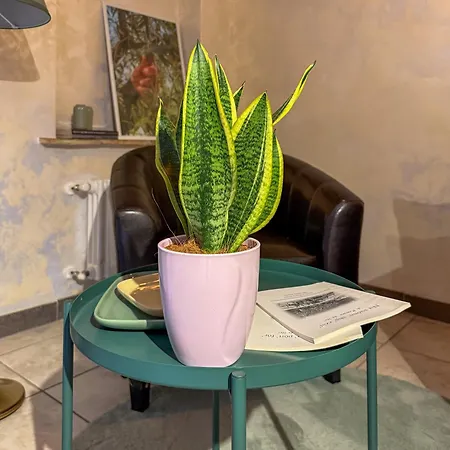 Alojamento de Acomodação e Pequeno-almoço Casa Petra Itri